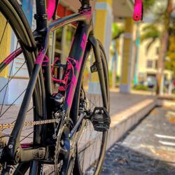 FUJI Brevet 1.1 2019