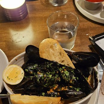 OLIVIA - Mussels - Italian Near Me - Tampa, Florida OLIVIA - Mussels - Italian Near Me - Tampa, Florida