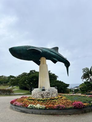Okinawa Churaumi Aquarium by null