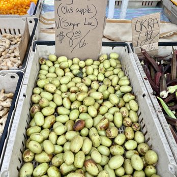 Campbell Farmers Market - Jujubes - Farmers Market Near Me - Campbell, California