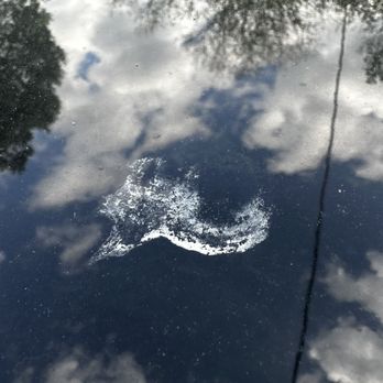 Sheetz - Bird poop - Gas Stations Near Me - STERLING, Virginia