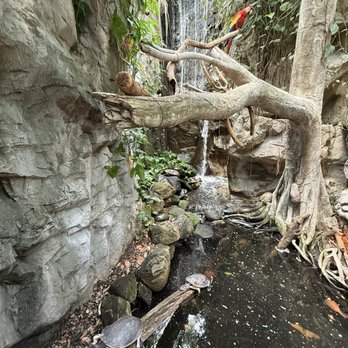 National Aquarium - Aquariums Near Me - Baltimore, Maryland National Aquarium - Aquariums Near Me - Baltimore, Maryland