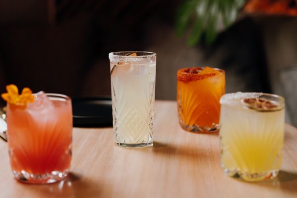 Cantina Monarca by null