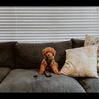 Canine Learning Academy - Pet Training Near Me - Huntington Beach, California