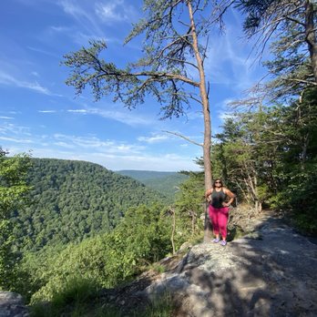 Experience Chattanooga - Tours Near Me