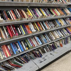 Goodwill