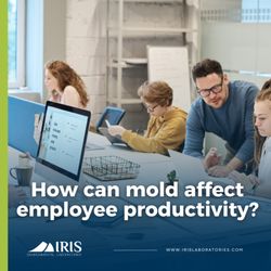 Iris Environmental Laboratories - The presence of mold creates an unsafe work environment and can even increase employee stress and decrease productivity