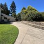 Photo of Bay Area Tree Pro