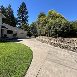 Bay Area Tree Pro - After trimming hedge back