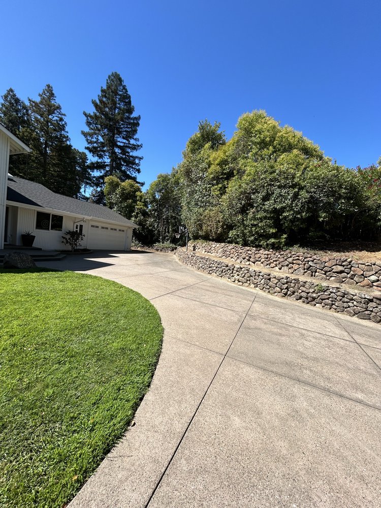 Bay Area Tree Pro - tree service in Vallejo, CA