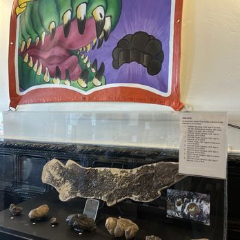 Poozeum - Display and funny flag - Museums Near Me - Williams, Arizona