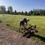 Photo of Spinniken Lawn & Irrigation