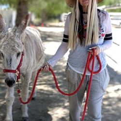 The Gentle Barn - Addison the donkey and me taking a walk around the property.
