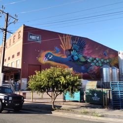 Pirates Life Brewing - Mural