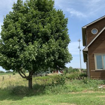 Stormy Tree Service - Tree Services Near Me Stormy Tree Service - Tree Services Near Me
