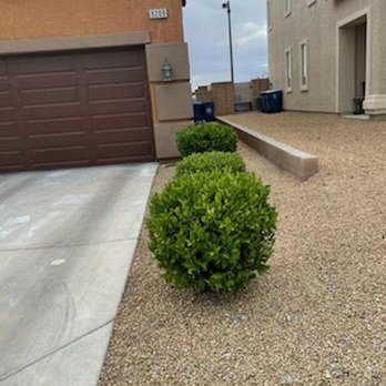 TreeStar Landscape - Landscaping Near Me
