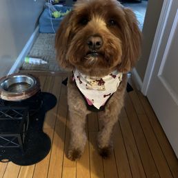 After groom!