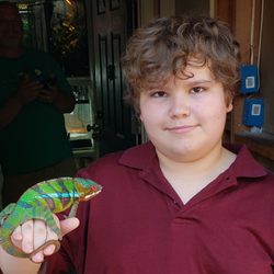 Chameleons 101
