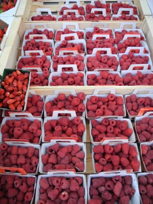 Place des Lices by null