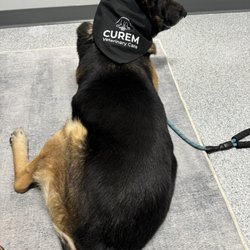 Curem Veterinary Care