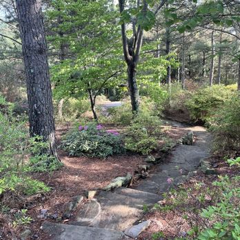 Baxter Gardens - Garden - Botanical Gardens Near Me - Knoxville, Tennessee