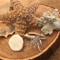 Island Connection Jewerly 2 - I loved this glass blown hermit crab I found here!