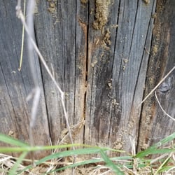 TBM Pest Control