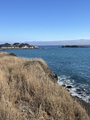 Gualala Point Regional Park by null