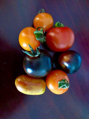 Harvest Community Foods by null