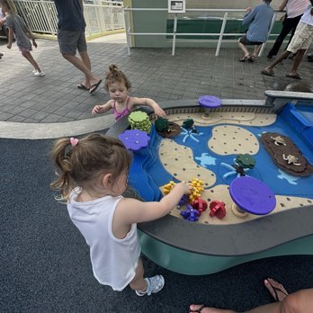 Loggerhead Marinelife Center - Community Service/Non-Profit Near Me - Juno Beach, Florida