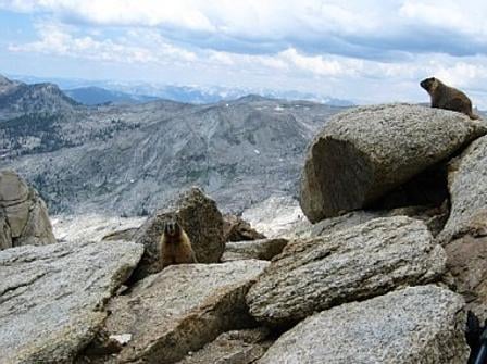 Sequoia & Kings Canyon National Parks by null Sequoia & Kings Canyon National Parks by null