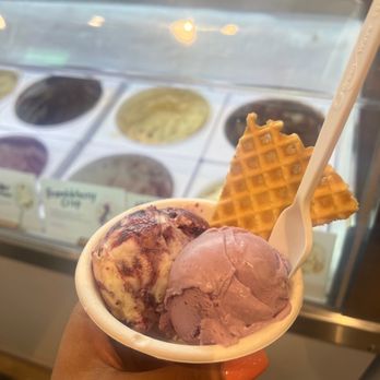 Jeni's Splendid Ice Creams - Brambleberry Crisp Pint Wildberry Lavender Pint - Ice Cream & Frozen Yogurt Near Me - Chicago, Illinois