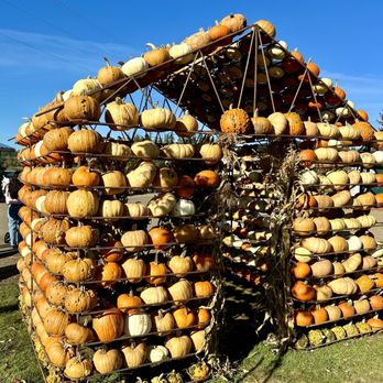 Hoffman Farm Store - a display of pumpkins - Fruits & Veggies Near Me - Beaverton, Oregon