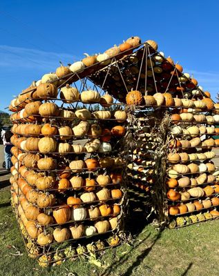 Hoffman Farms Store by null