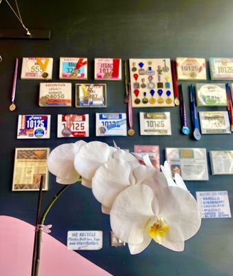 Photo of Crazy Fish - Beverly Hills, CA, US. Interior wall with numerous awards, orchid photo bomb