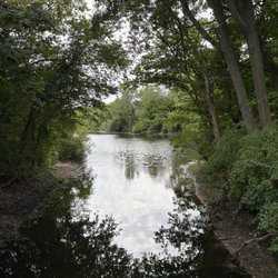 Forest City Park - Creek area (September 2026)