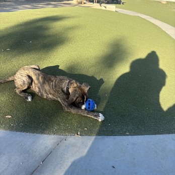 Wildcatters Dog Park - Dog Parks Near Me - Brea, California