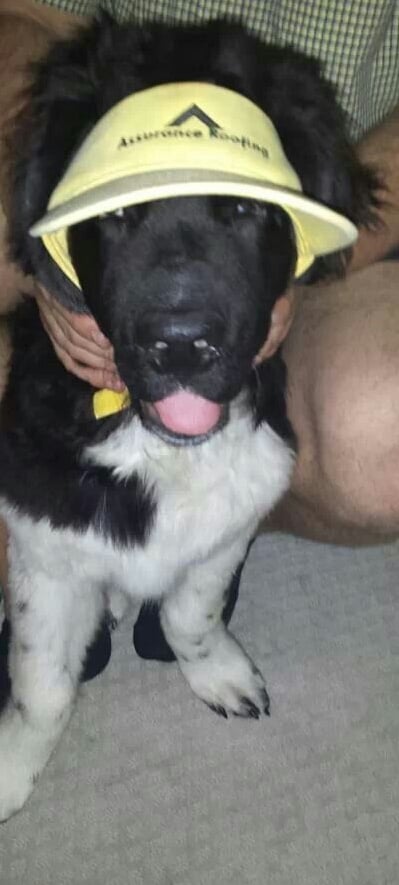 Slide of Assurance Roofing