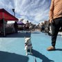Photo of Charlottesville City Market