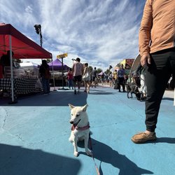 Charlottesville City Market - dog friendly