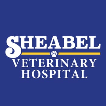 Sheabel Veterinary Hospital - Sheabel Veterinary Hospital - Veterinarians Near Me - Lexington, Kentucky Sheabel Veterinary Hospital - Sheabel Veterinary Hospital - Veterinarians Near Me - Lexington, Kentucky