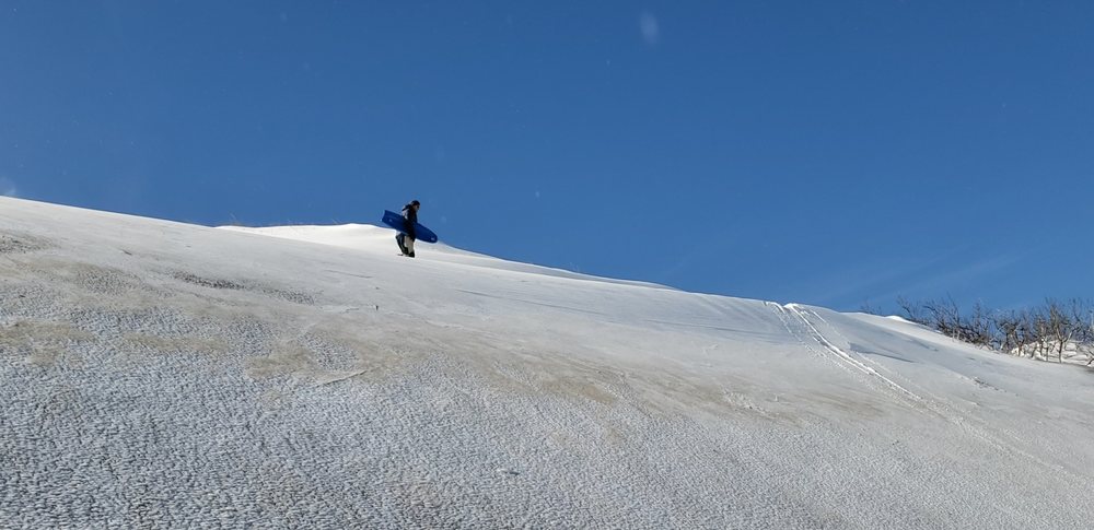 Dune Shacks Trail Logo