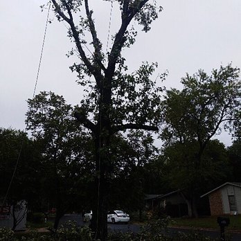 Ortiz Tree Trimming - Tree Services Near Me Ortiz Tree Trimming - Tree Services Near Me