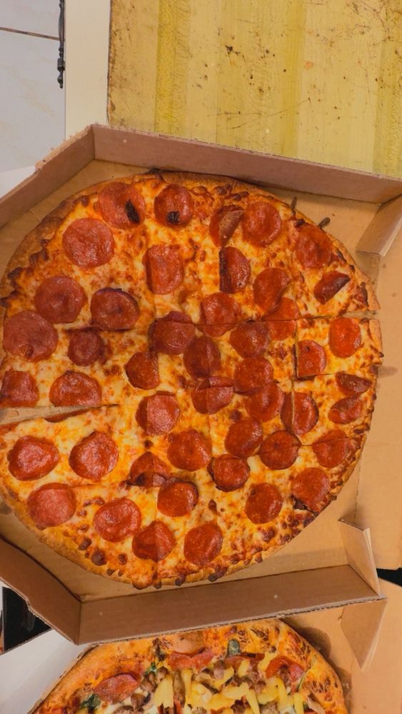 Domino's Pizza Logo