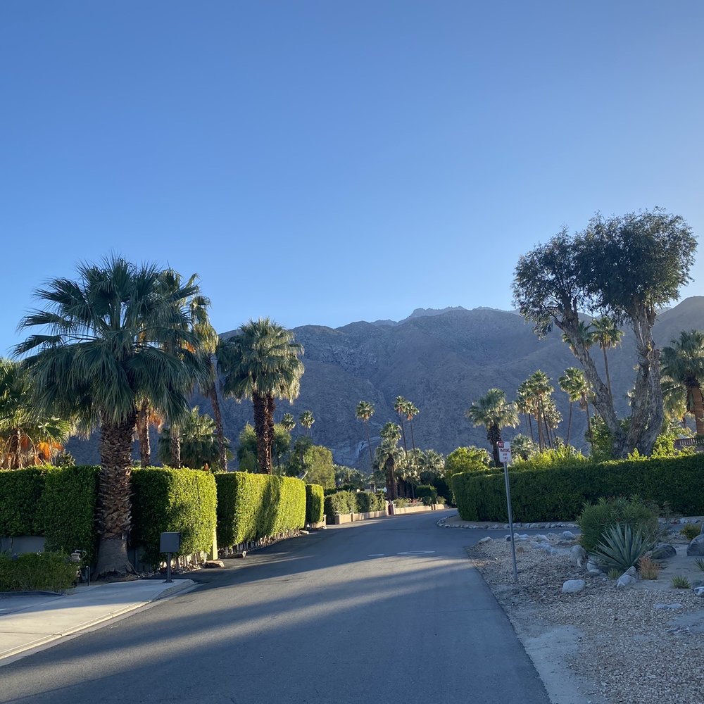 The Weekend - Looking down the street at the mountains - Hotels Near Me - Palm Springs, California The Weekend - Looking down the street at the mountains - Hotels Near Me - Palm Springs, California