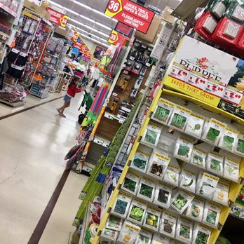 Don Quijote - International Grocery Near Me - Honolulu, Hawaii
