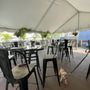 Photo of The Ark Pub & Eatery