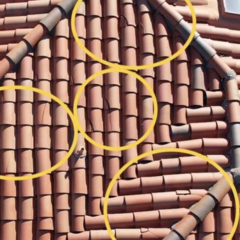 Dab Termite & Pest Solutions - More Broken Tiles II - Pest Control Near Me - Covina, California Dab Termite & Pest Solutions - More Broken Tiles II - Pest Control Near Me - Covina, California