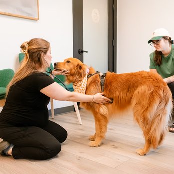 Heart + Paw - Veterinarians Near Me - Marlton, New Jersey Heart + Paw - Veterinarians Near Me - Marlton, New Jersey
