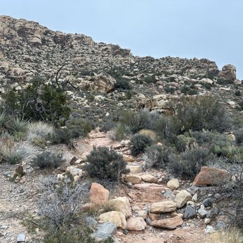 Pink Jeep Tours - Small hike - Travel Services Near Me - Las Vegas, Nevada Pink Jeep Tours - Small hike - Travel Services Near Me - Las Vegas, Nevada